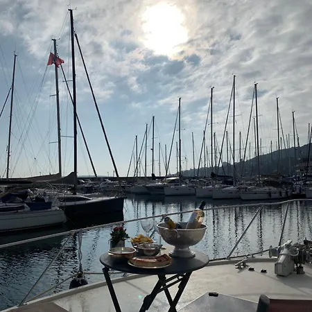 船屋 Master In Golfe Juan 瓦洛里